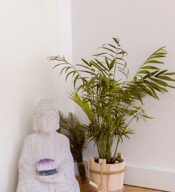Centro quiropráctica Shivaya